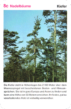 Spielkarte