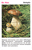 Spielkarte