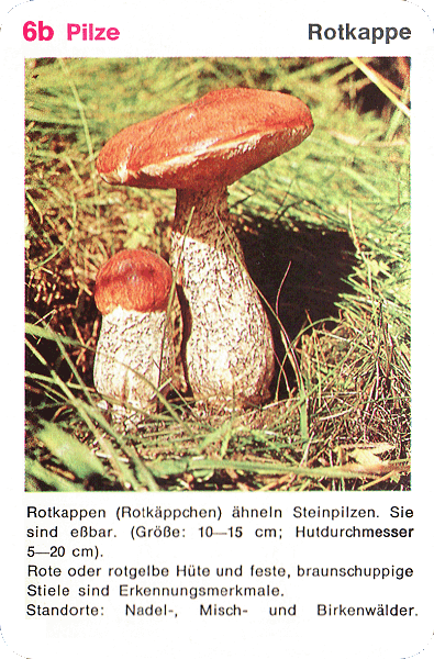 Spielkarte