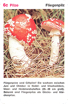 Spielkarte