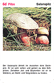 Spielkarte