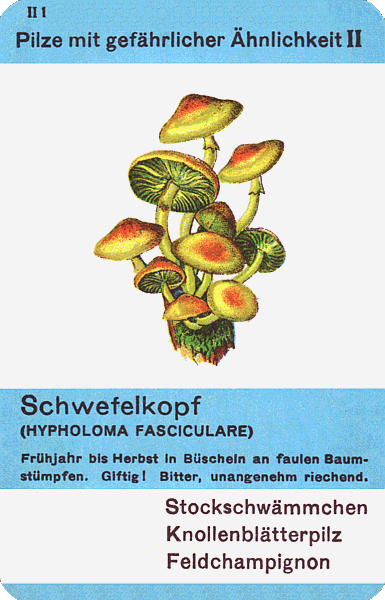 Spielkarte