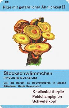 Spielkarte