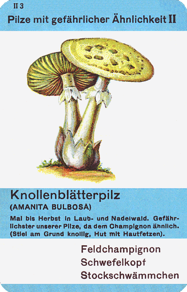 Spielkarte