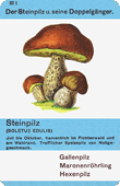 Spielkarte