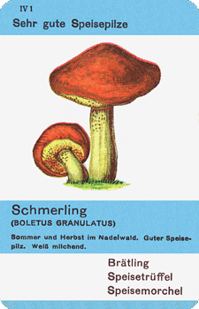 Spielkarte