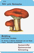 Spielkarte