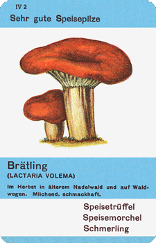 Spielkarte