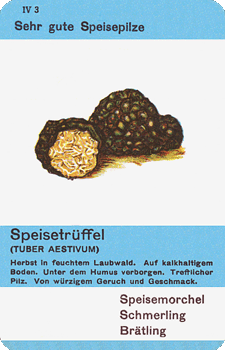Spielkarte