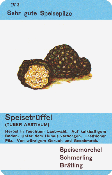 Spielkarte