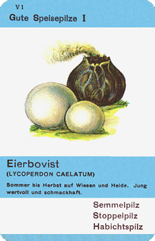 Spielkarte