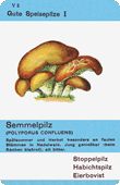Spielkarte