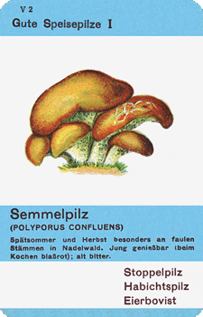 Spielkarte