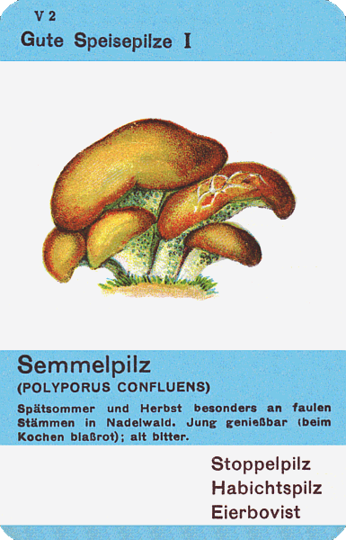 Spielkarte