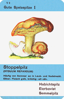 Spielkarte