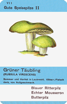 Spielkarte