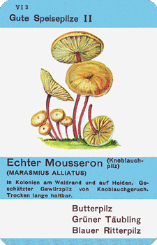 Spielkarte