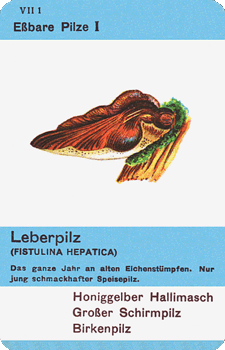 Spielkarte