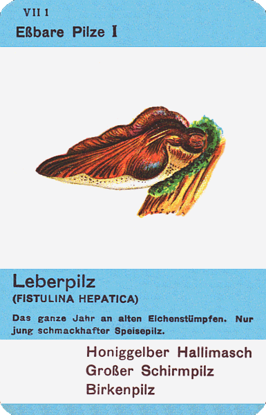 Spielkarte