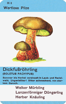 Spielkarte
