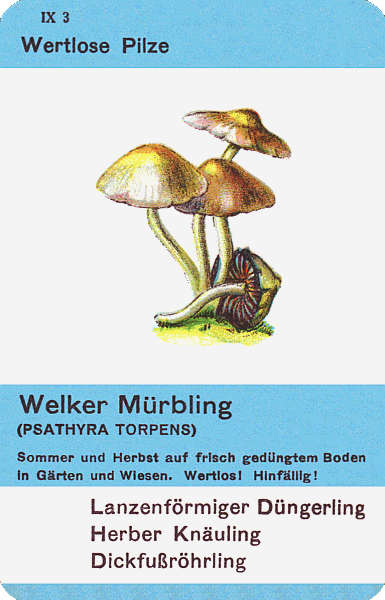 Spielkarte