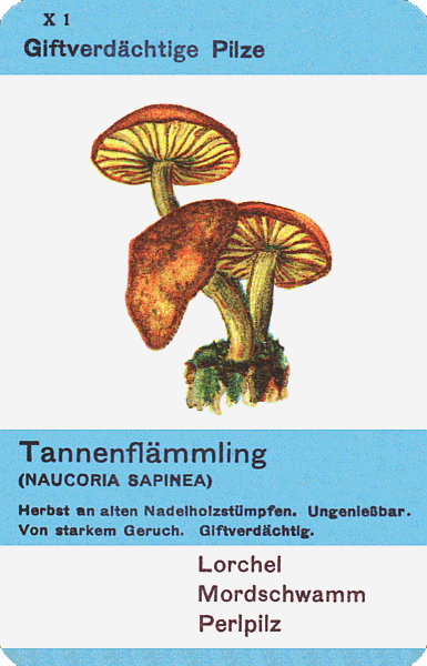 Spielkarte
