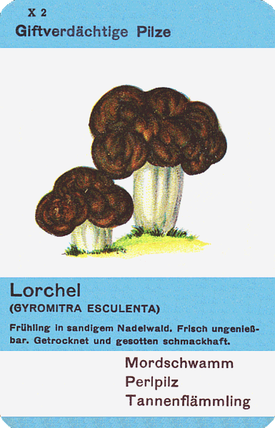 Spielkarte