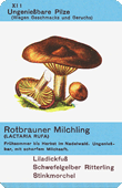 Spielkarte