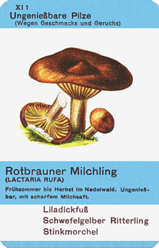 Spielkarte