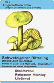 Spielkarte