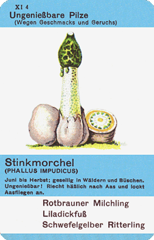 Spielkarte