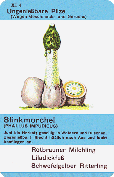 Spielkarte