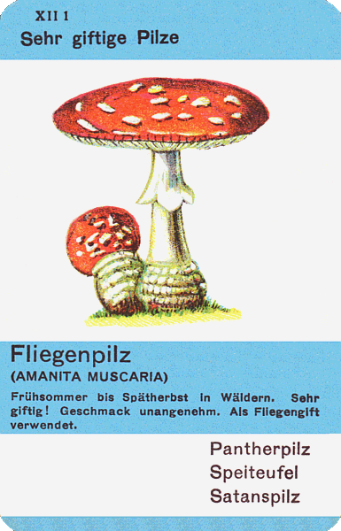 Spielkarte