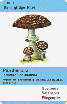 Spielkarte