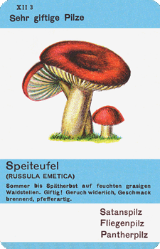 Spielkarte