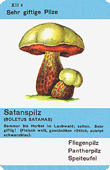 Spielkarte
