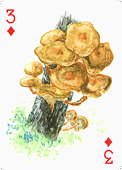 Spielkarte