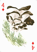 Spielkarte