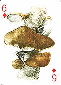 Spielkarte