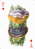 Spielkarte