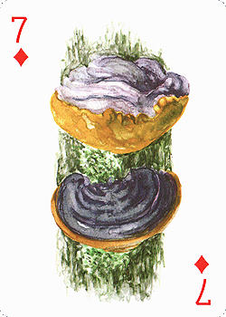 Spielkarte