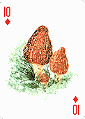 Spielkarte
