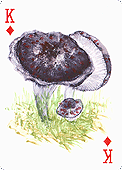 Spielkarte
