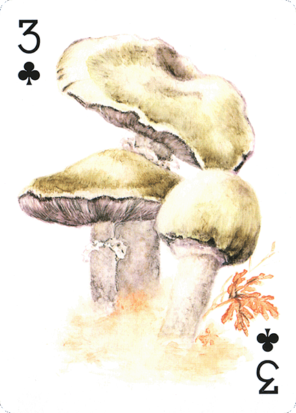 Spielkarte