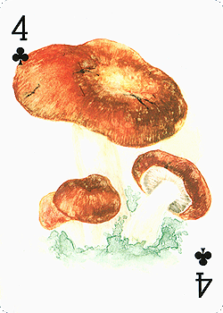 Spielkarte