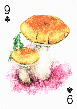 Spielkarte