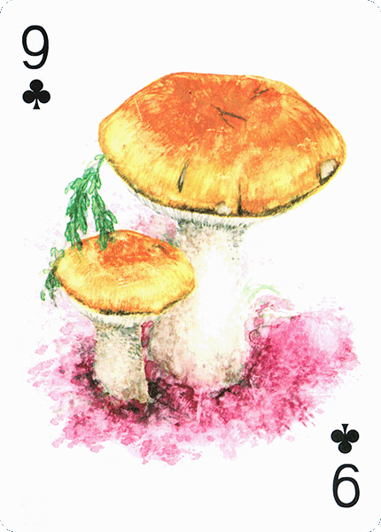 Spielkarte