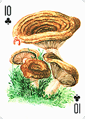Spielkarte