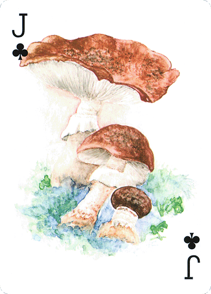 Spielkarte