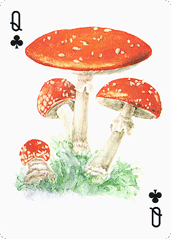 Spielkarte
